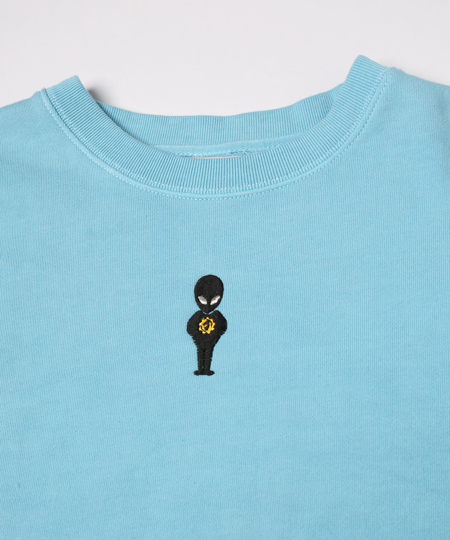 PIGMENT ALIEN SWEAT CREW