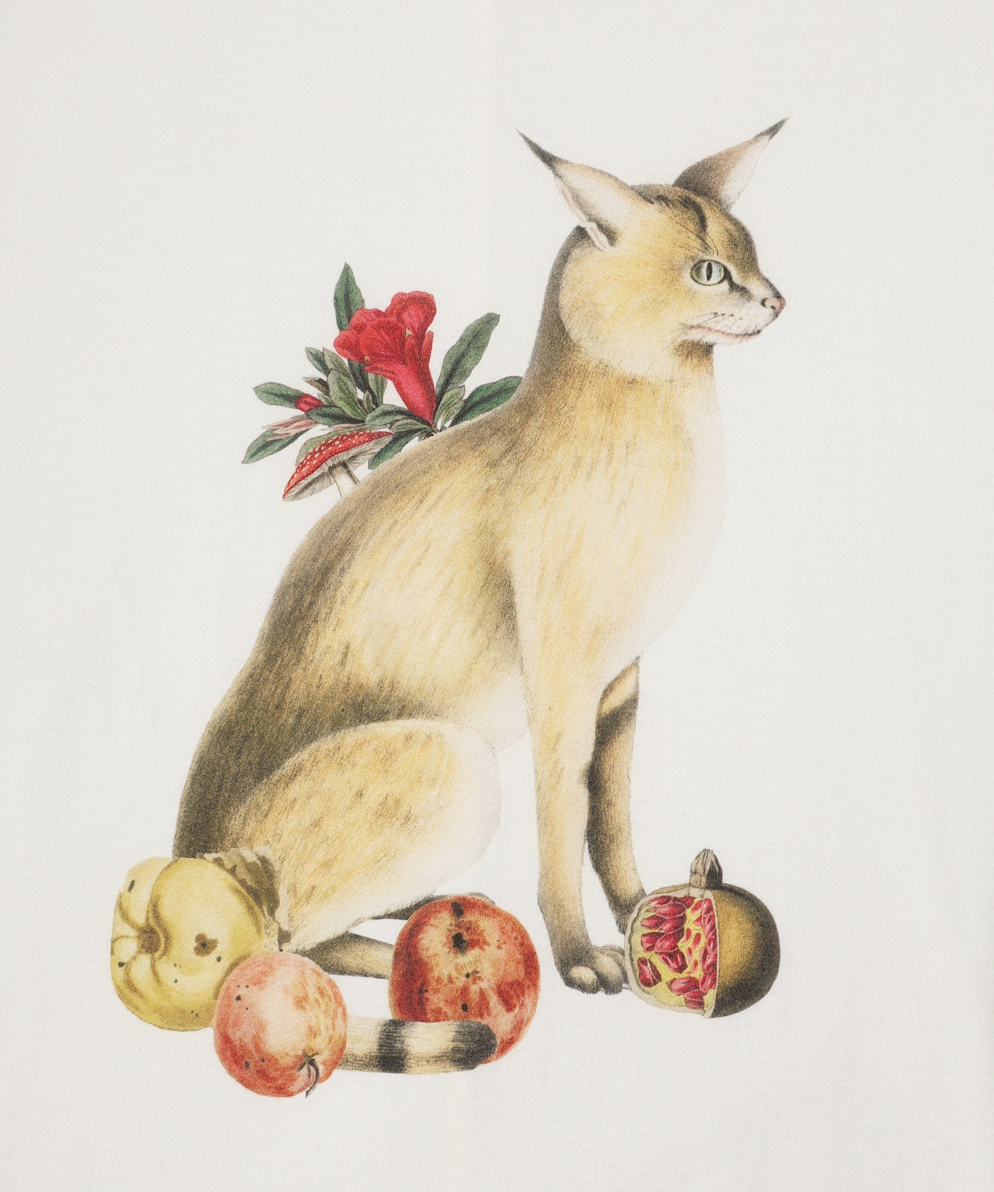 ANLIO × BEDSIDEDRAMA Nostalgic Still Life OP & MULTI USE AROMA SPRAY 「Nostalgic Still Life」