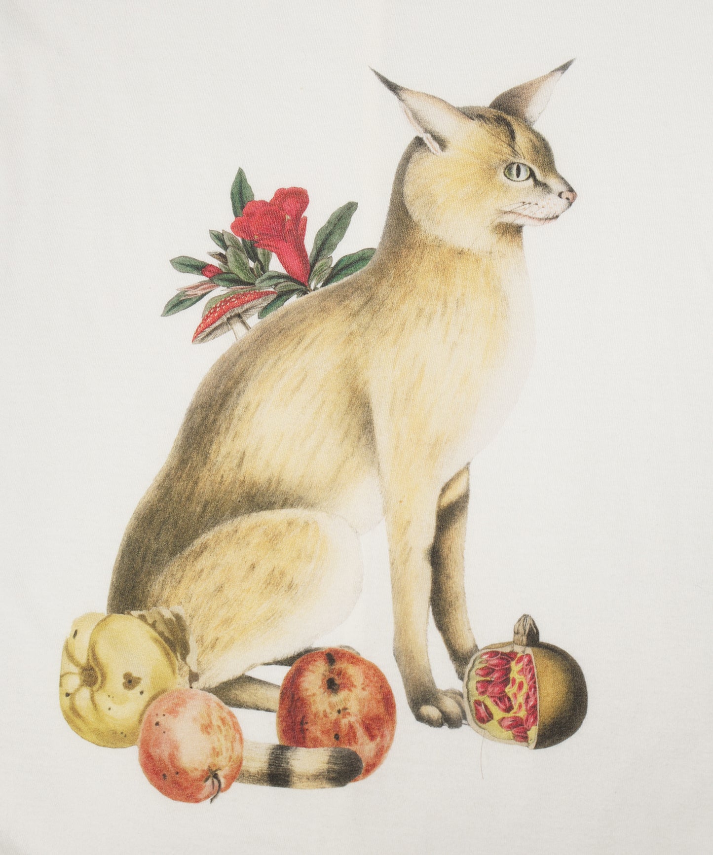 ANLIO × BEDSIDEDRAMA Nostalgic Still Life TEE & MULTI USE AROMA SPRAY 「Nostalgic Still Life」