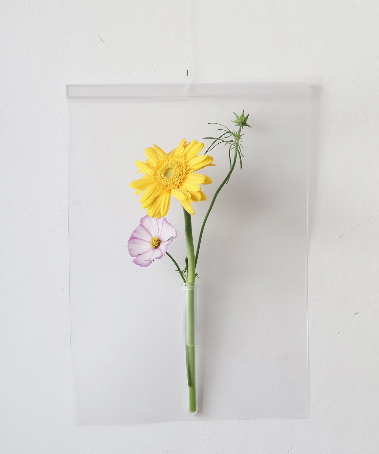 air vase
