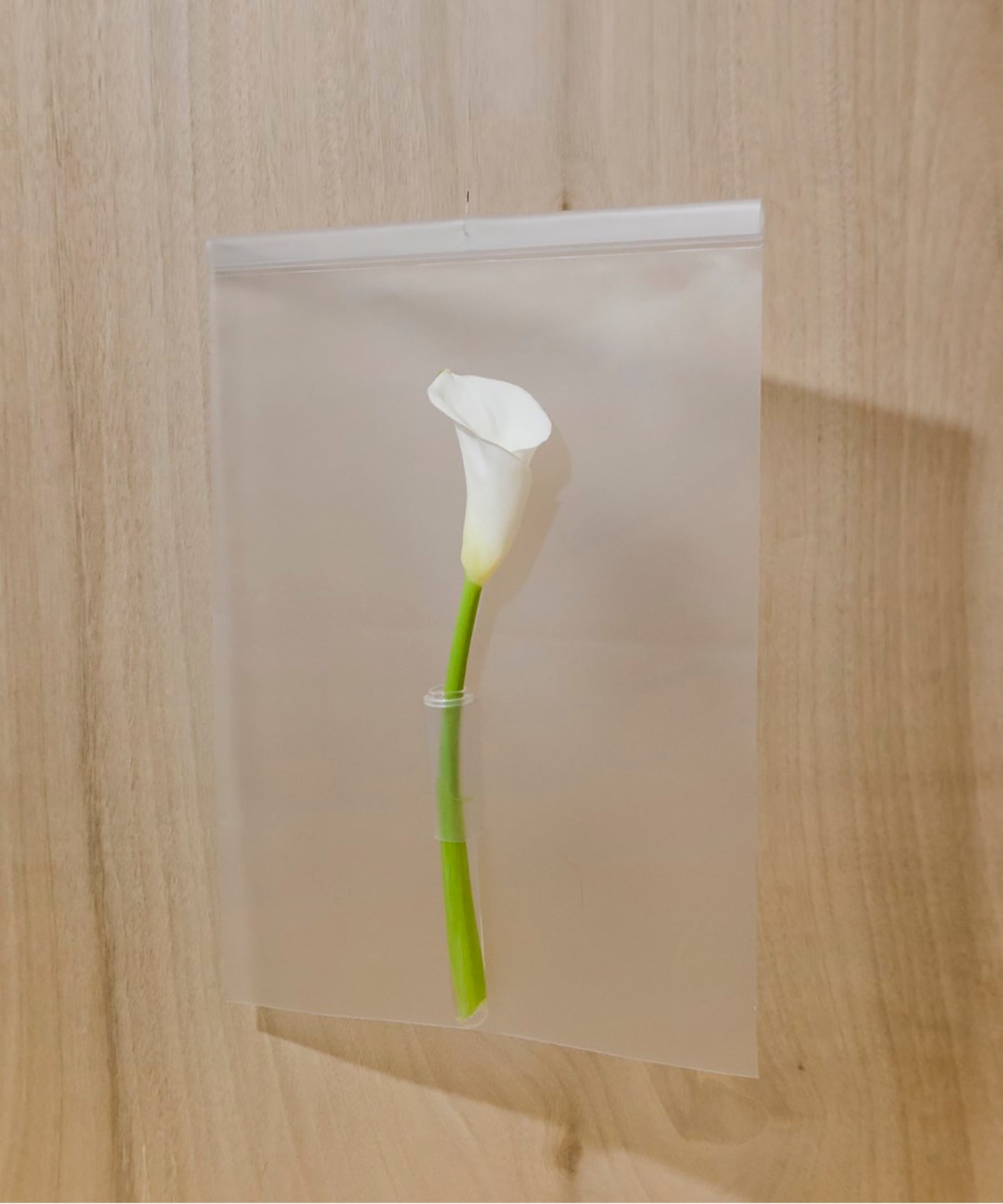 air vase