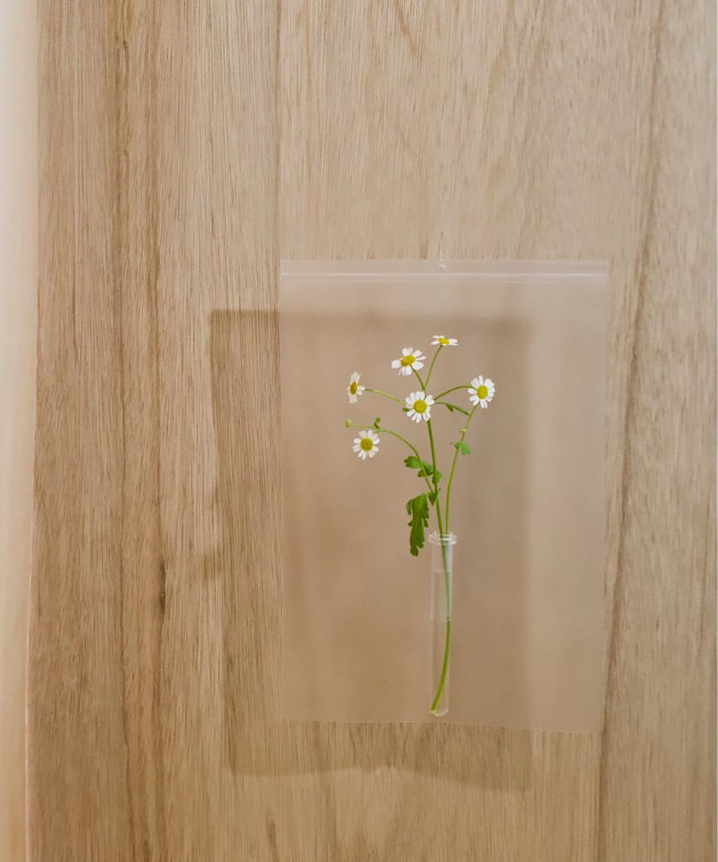air vase