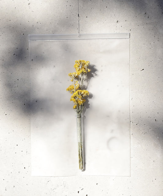 air vase