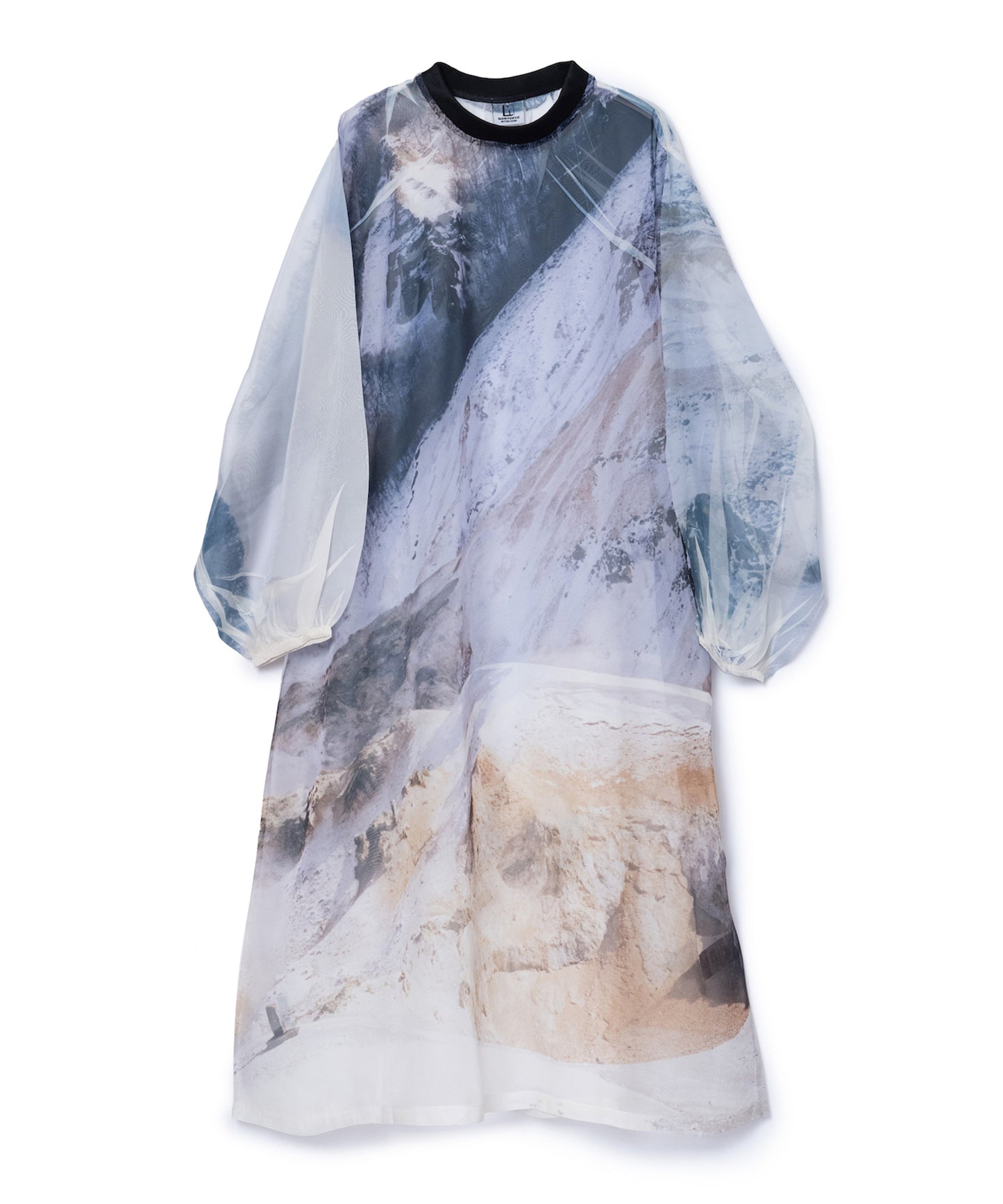 DIRECT PRINT SHEER ONE-PIECE