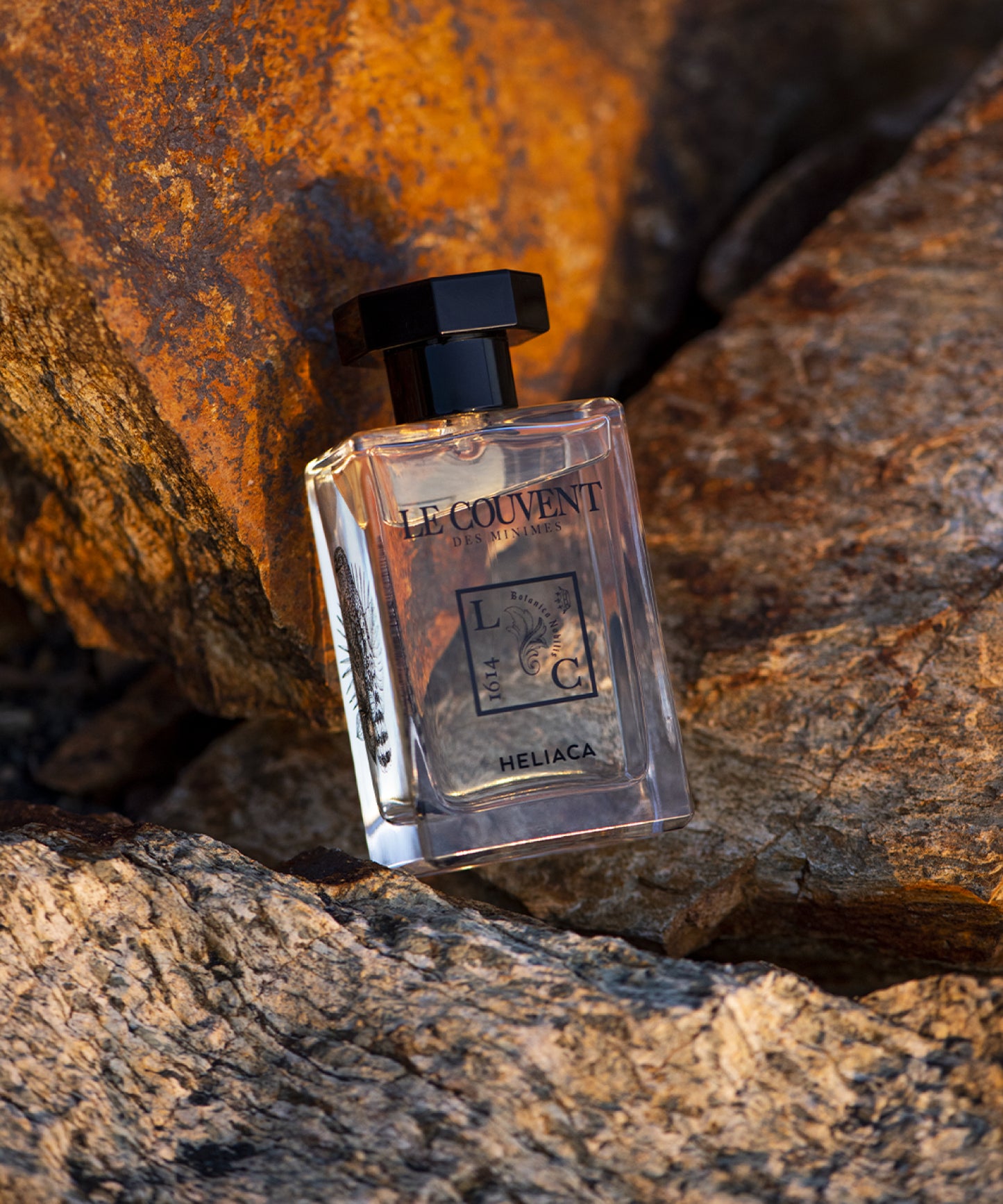 SINGULIERES -シンギュラー- 50ml